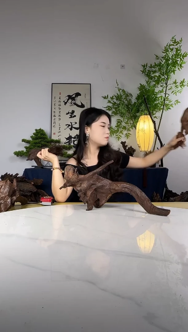 小*拍这个定向编号49