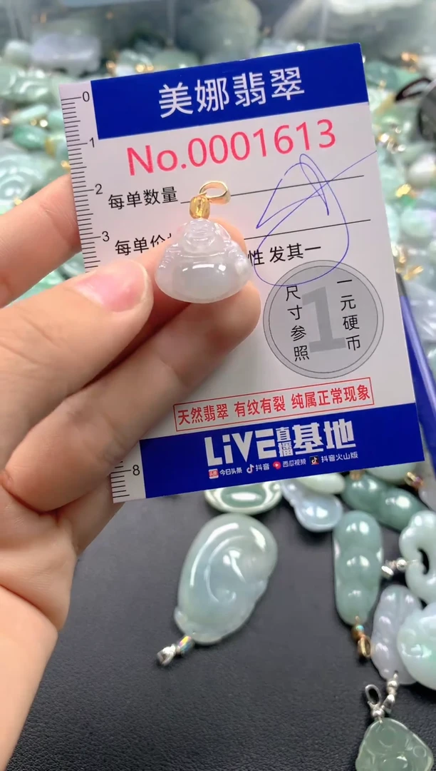 颈饰未镶嵌翡翠1613