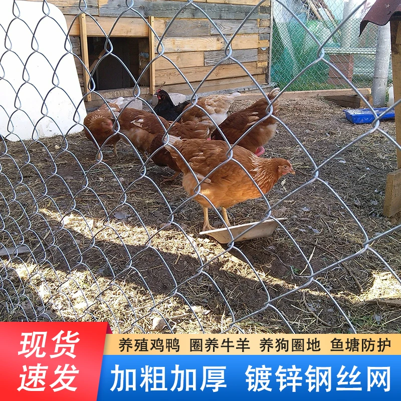 热镀锌钢丝网勾花网养殖牛羊拦鸡围网户外果园防护加粗防锈围栏网