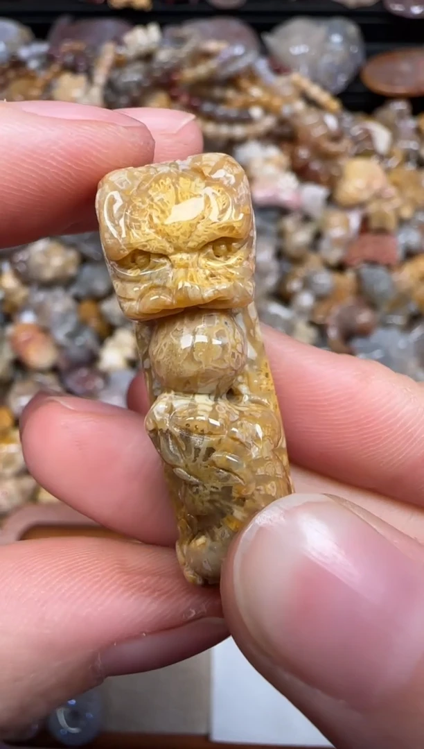 硅化珊瑚（珊瑚玉）未镶嵌颈饰334