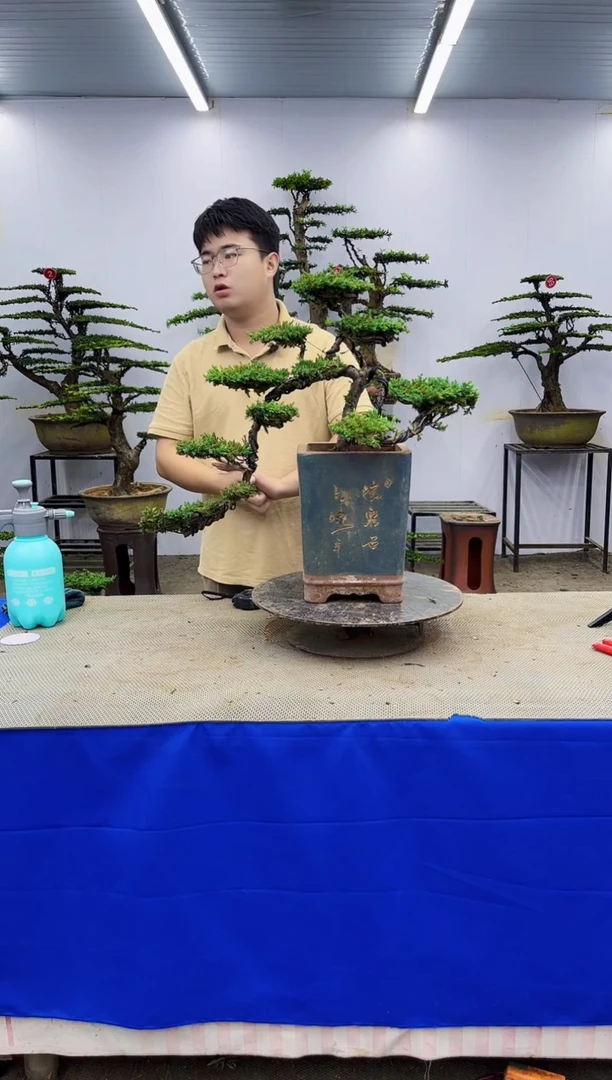 无花朵一物一拍，所见即所得