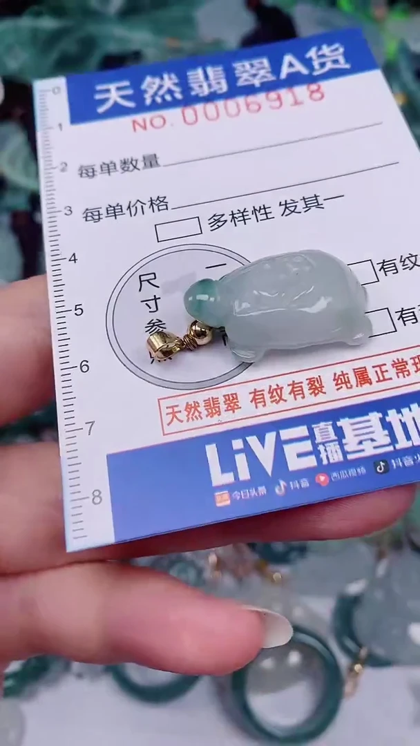 翡翠未镶嵌颈饰00006918