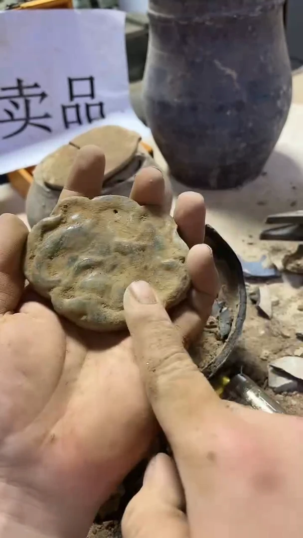 硅化玉奇石未镶嵌1