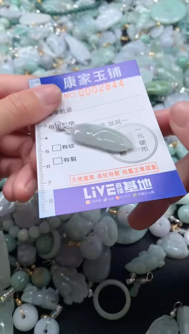 颈饰未镶嵌翡翠2844