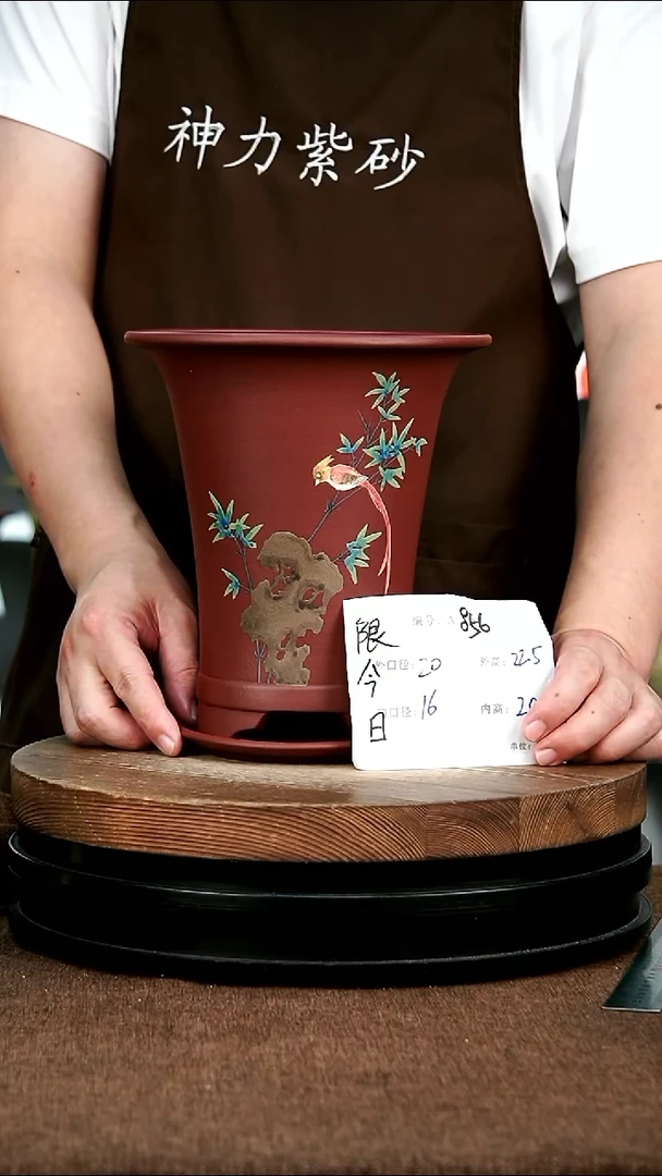 紫砂花盆花卉园艺856+Z