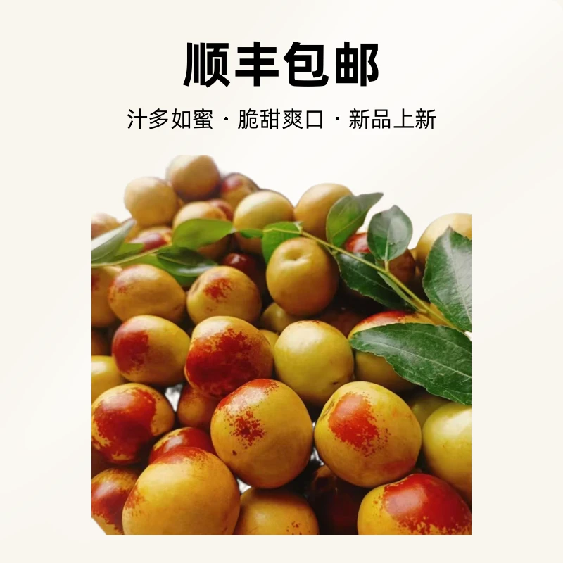大荔冬枣脆甜爽口汁多如蜜！枣子！水果