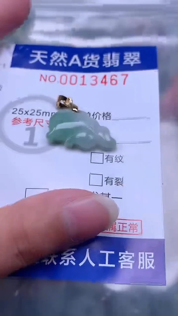 翡翠未镶嵌吊坠(不含链)1