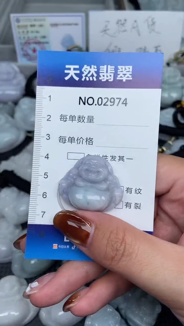 颈饰未镶嵌翡翠纯天然A货翡翠2974