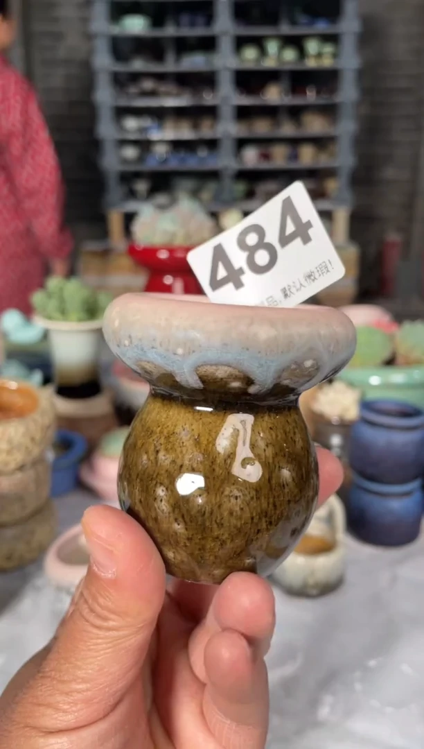 瓷片484小芳直播编号