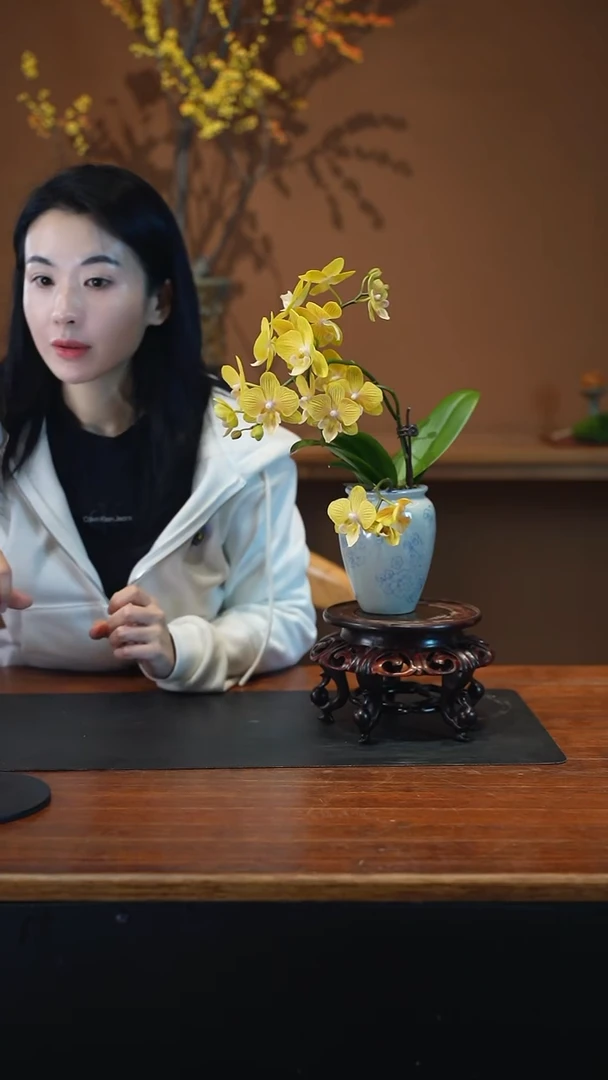 全部花朵金盏蝶盆景盆景盆景