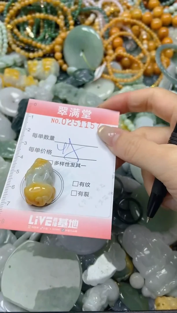 未镶嵌挂件翡翠闪购0251157