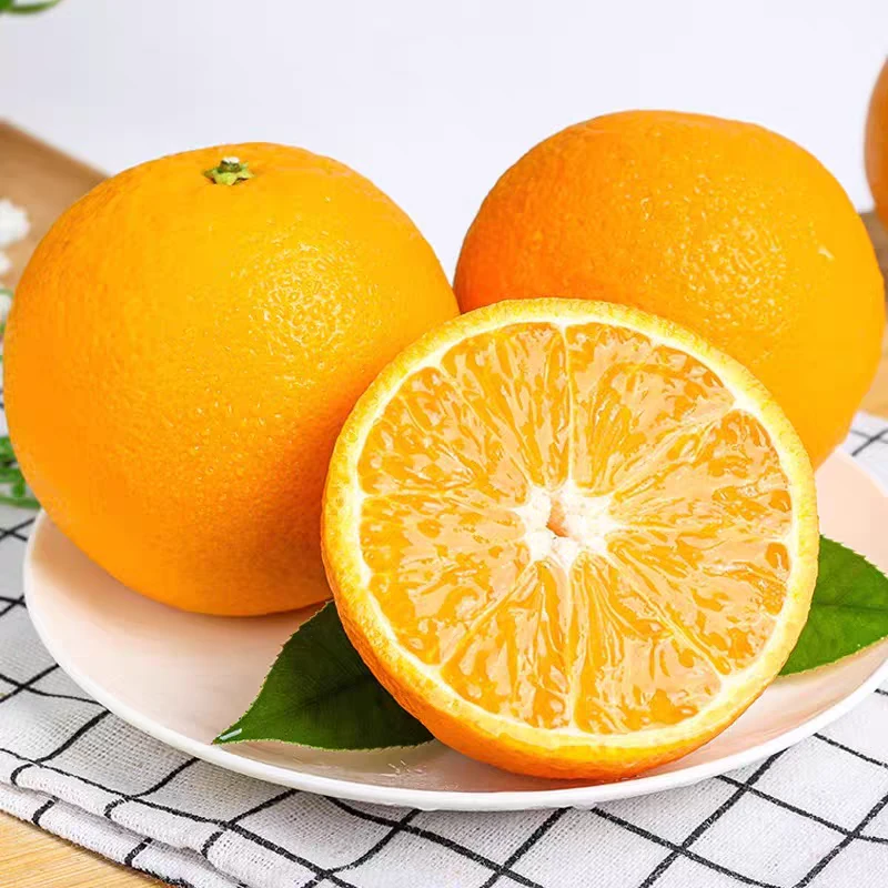 麻阳冰糖橙湖南当季新鲜现摘水果高山大果产地直发整箱批发包邮