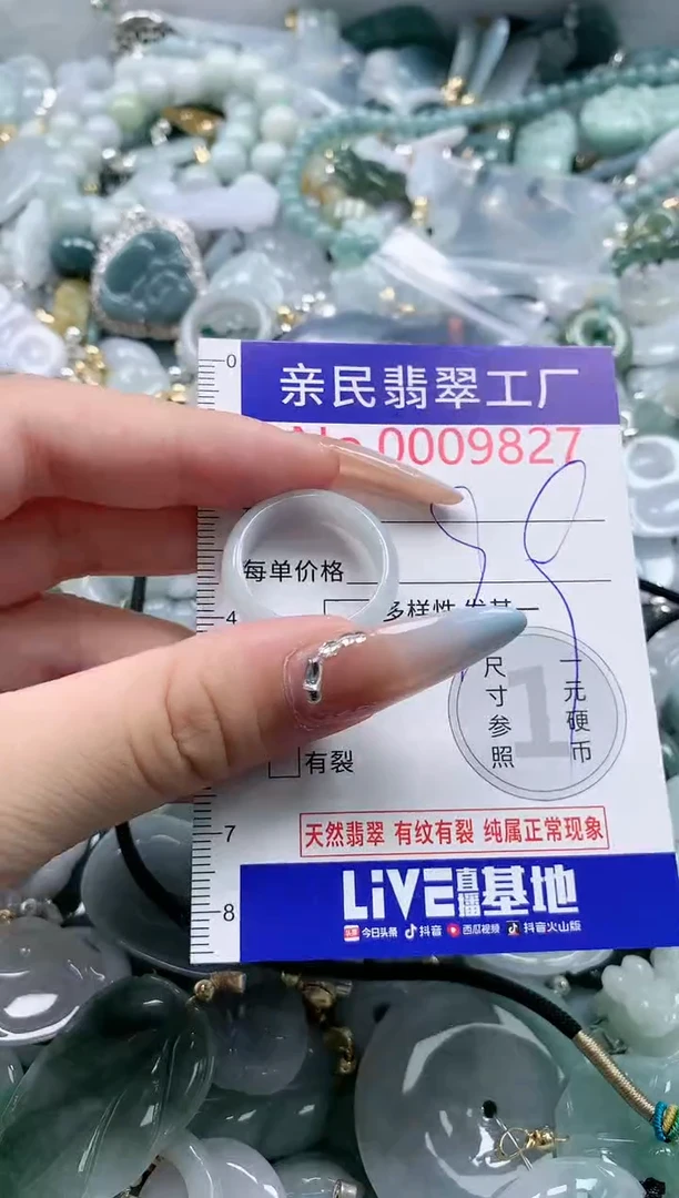 翡翠未镶嵌吊坠(不含链)9827