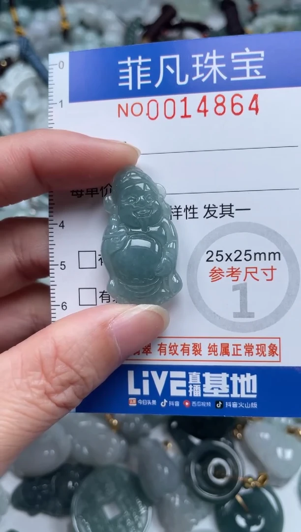 颈饰未镶嵌翡翠14864