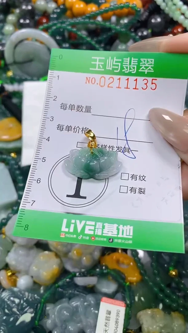 颈饰未镶嵌翡翠闪购0211135