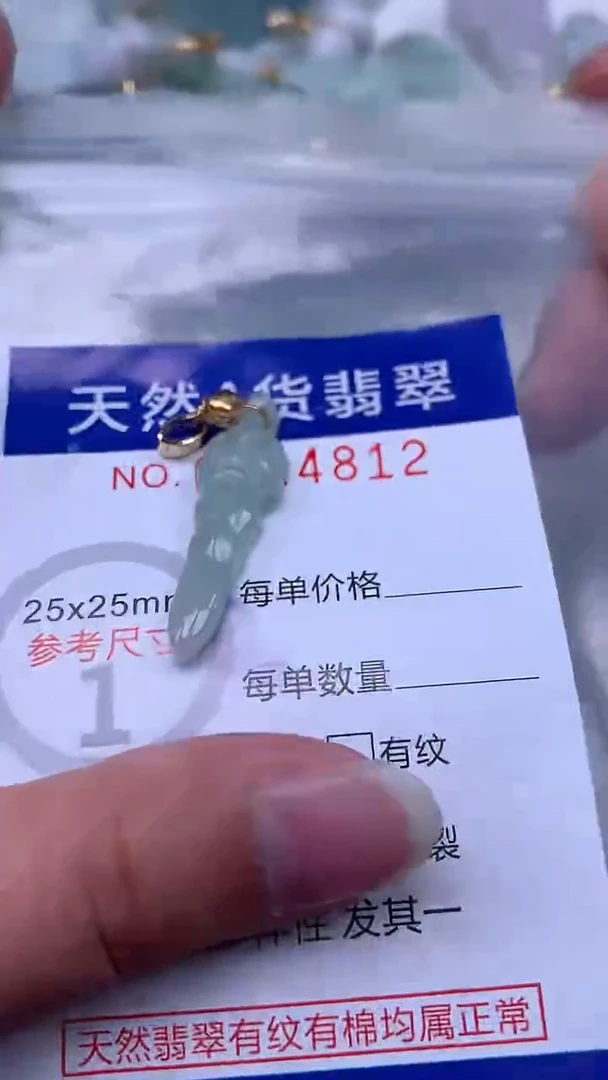 翡翠未镶嵌吊坠(不含链)1
