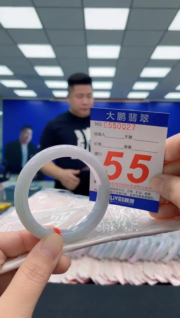 未镶嵌手镯翡翠AAAAAAAAA