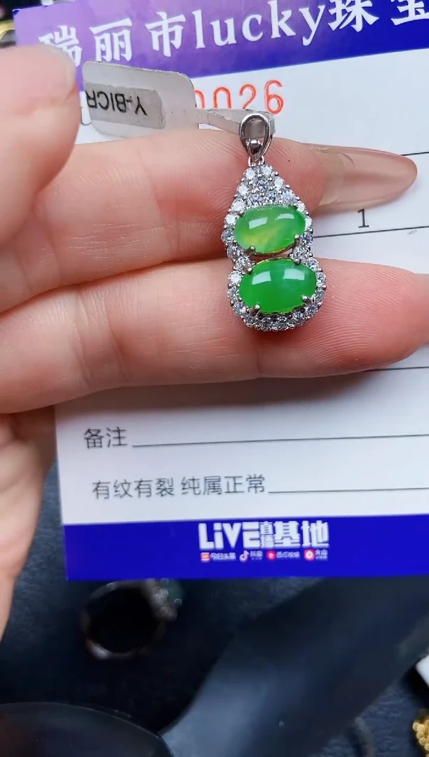 翡翠银S925镶嵌颈饰0026