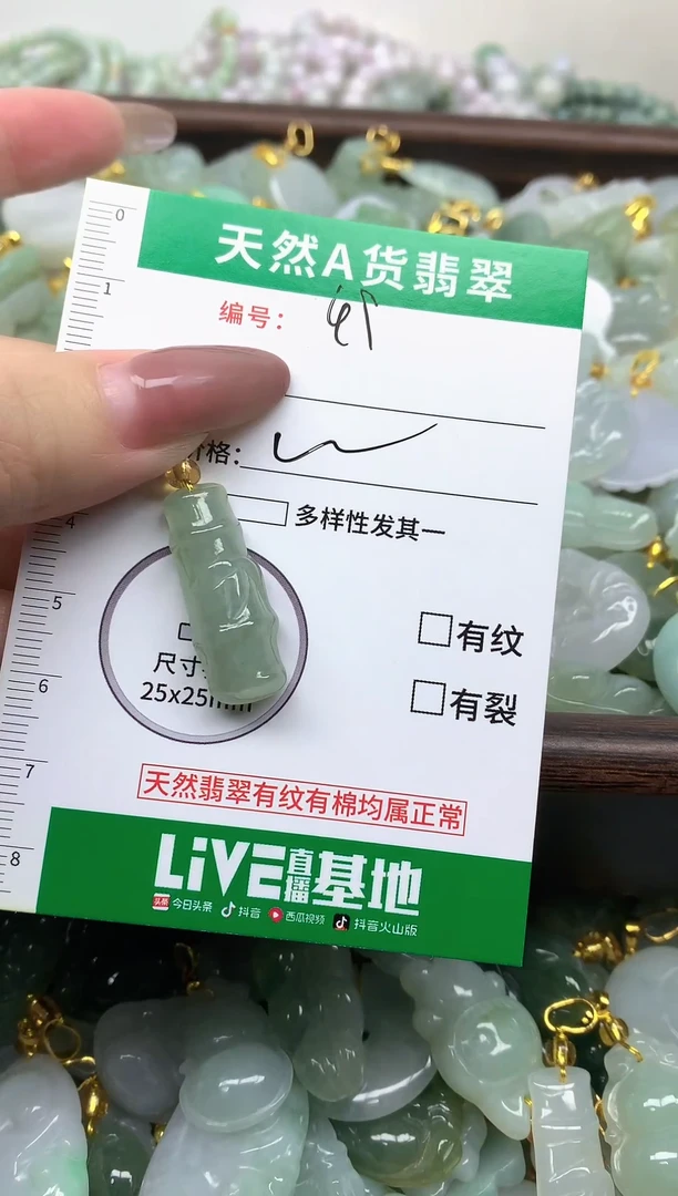 颈饰未镶嵌翡翠纯天然缅甸A货翡翠-49