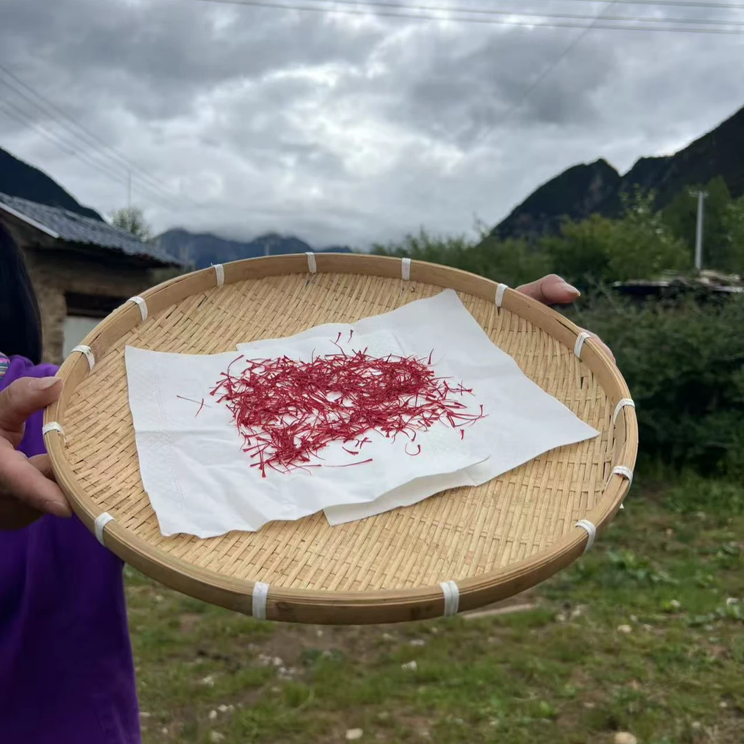 西藏发货雪域藏红花3g/5g金汤花茶泡水喝青藏高原特产