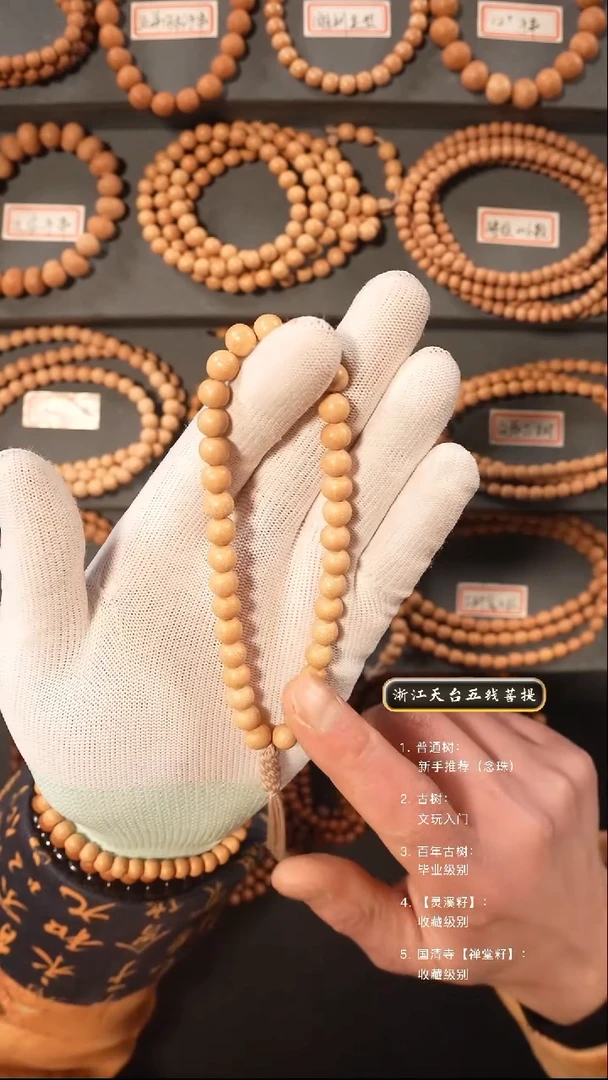 【闪购商品】五线菩提吊坠手持