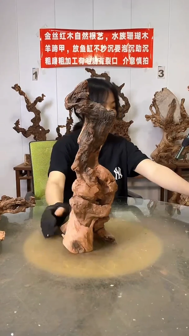 香榧木怡*园金丝红木   羊蹄甲