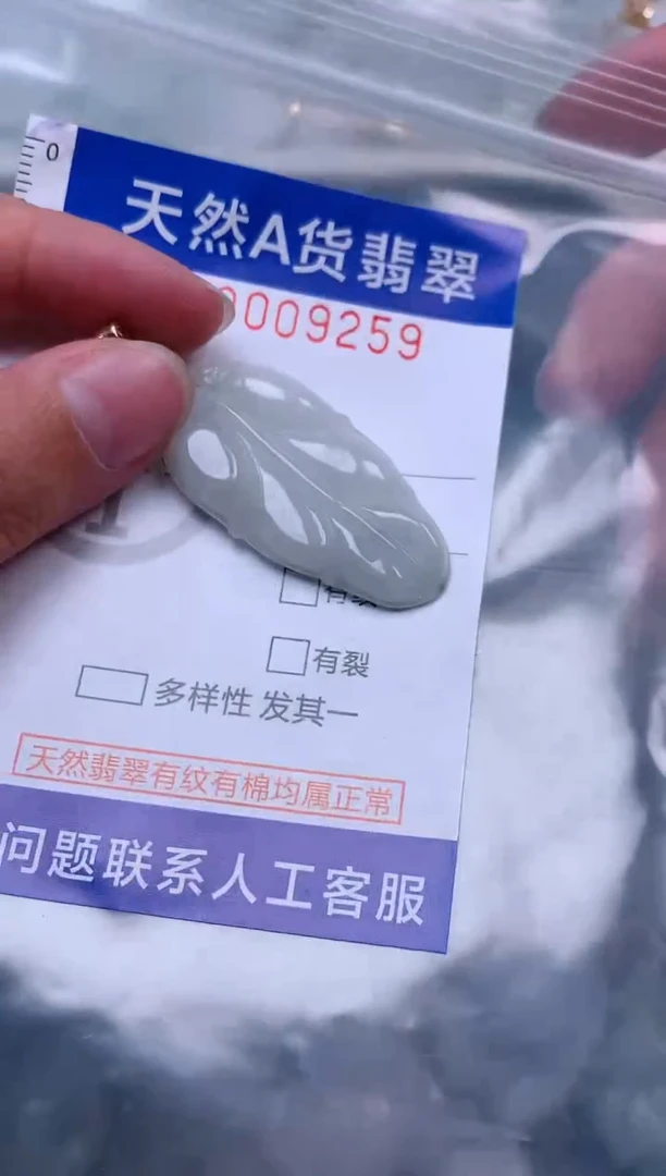 吊坠(赠链)未镶嵌翡翠1