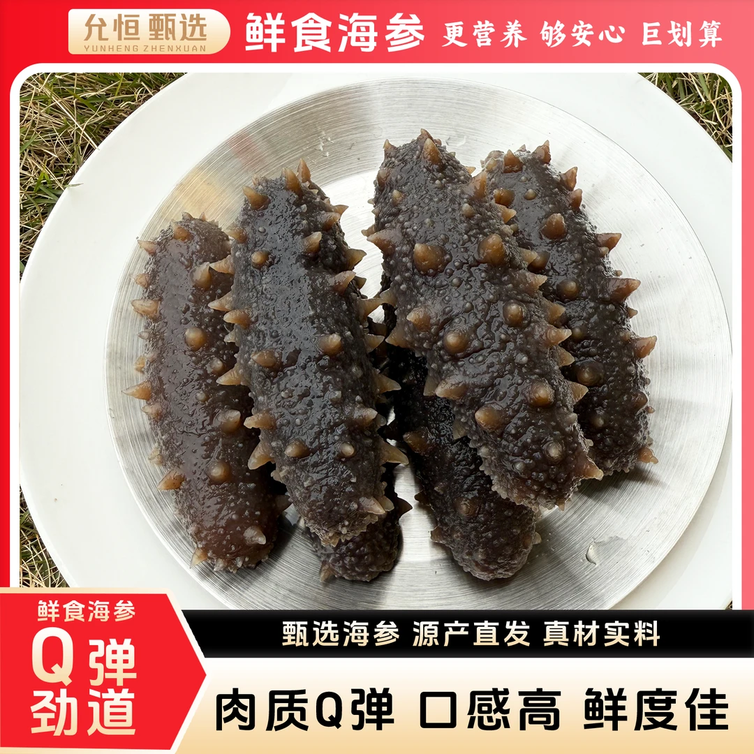 允恒鲜食海参大参王4头/斤高口感Q弹劲道海参滋补品