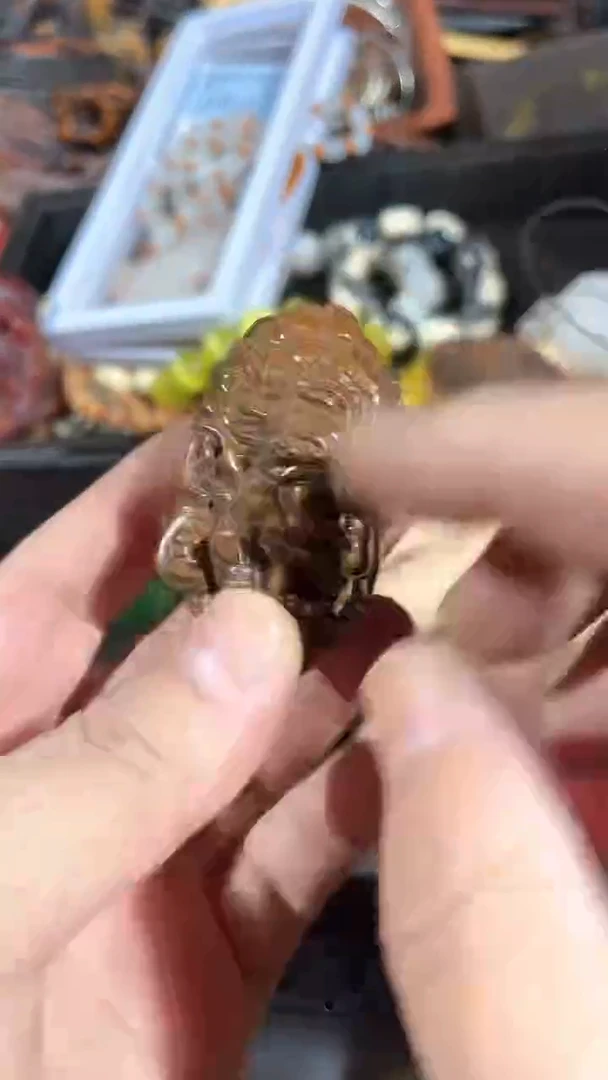 【闪购商品】黄杨木11111111111111111111