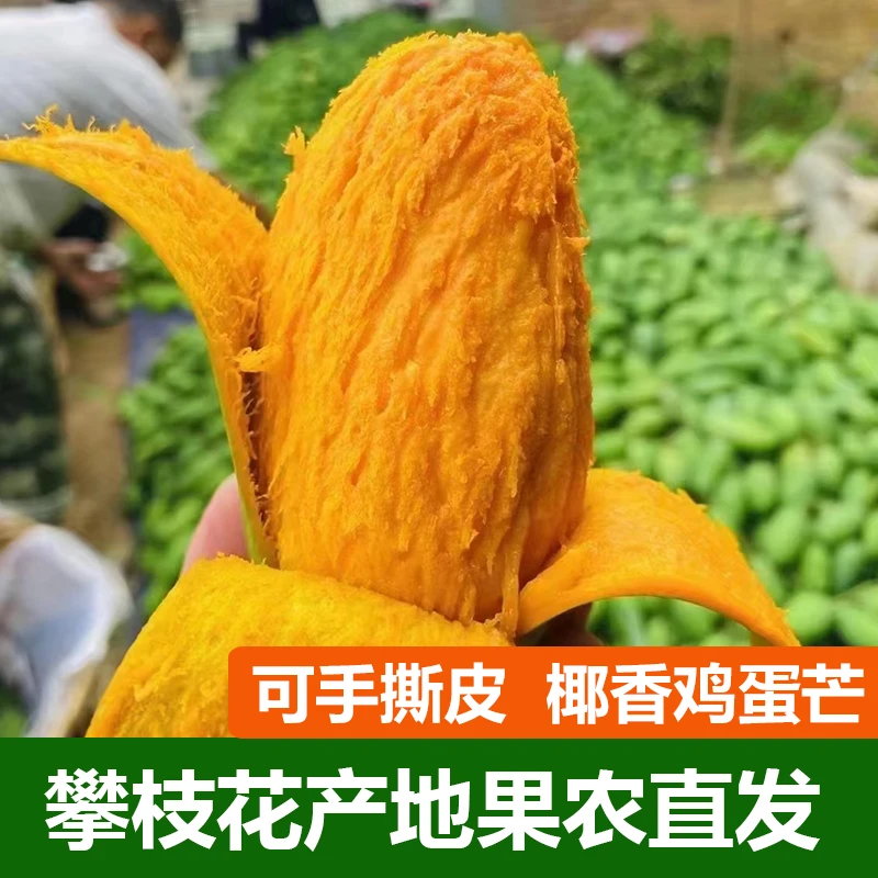 四川攀枝花椰香鸡蛋芒果十斤装孕妇现摘新鲜青皮芒奶香整箱水果