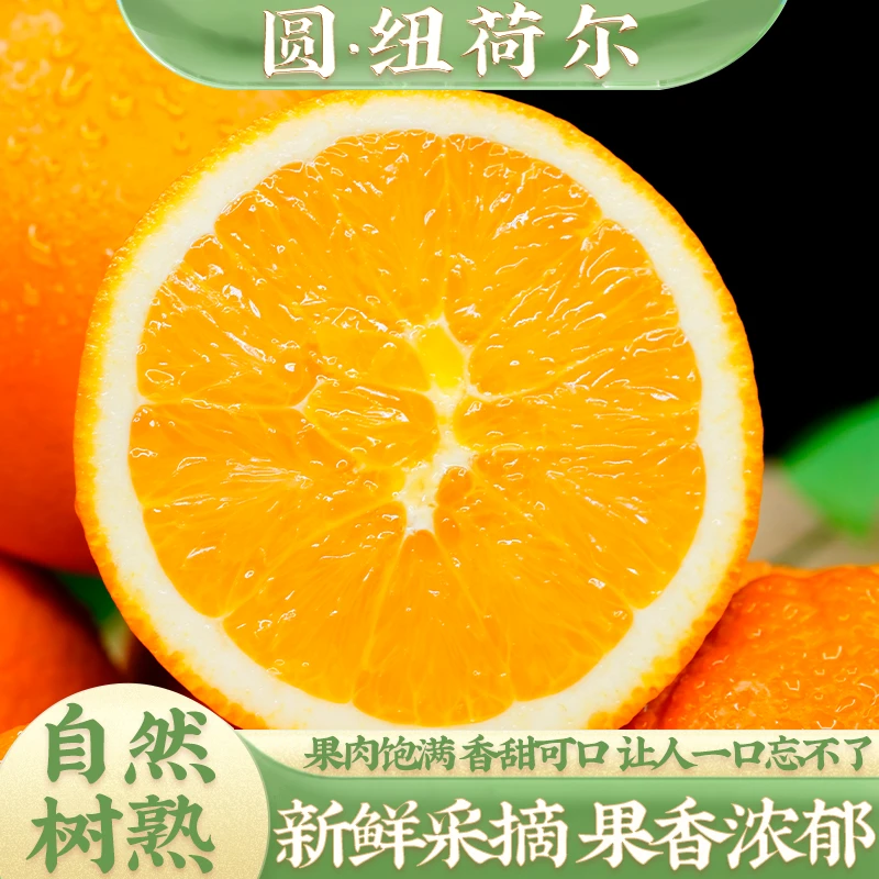 重庆奉节圆纽荷尔脐橙产地直发果肉饱满汁水丰富