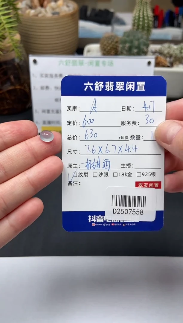 翡翠未镶嵌颈饰D2507558