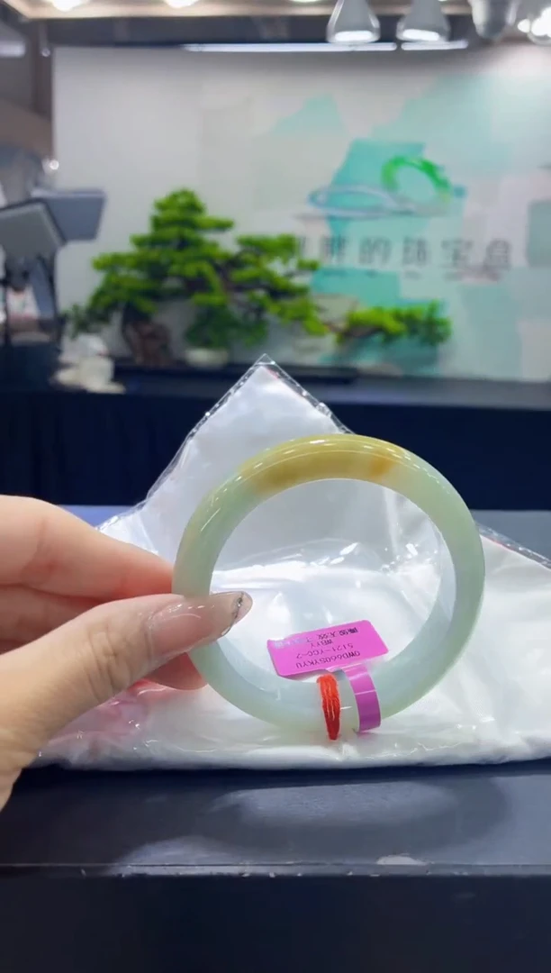 未镶嵌手镯翡翠5