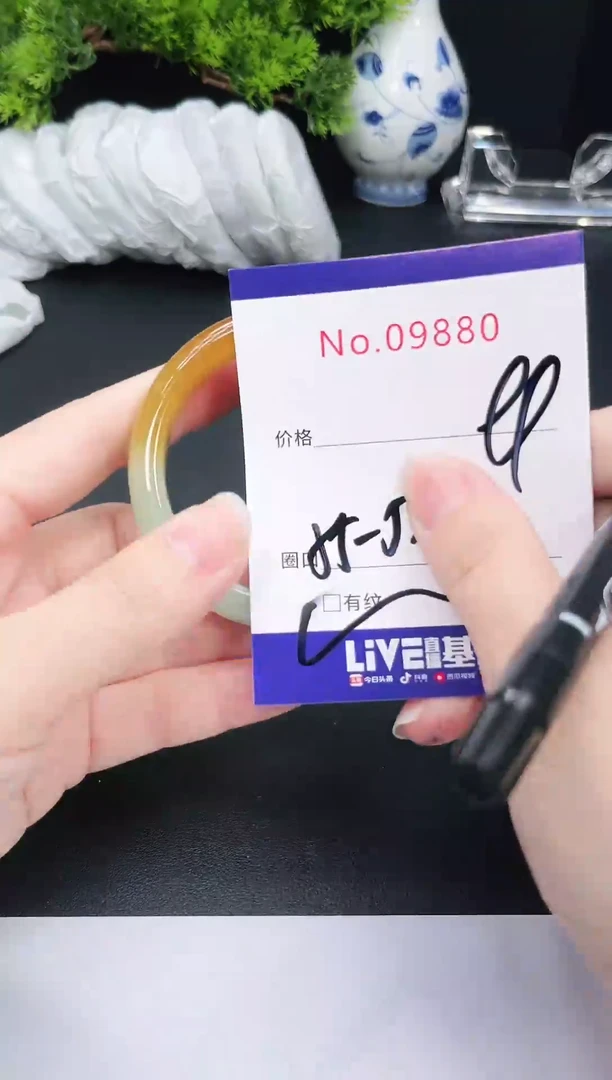 未镶嵌手镯翡翠9880
