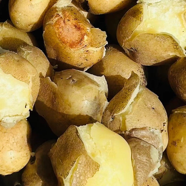 2025高原青海互助沙、面 、散土豆洋芋（马铃薯）