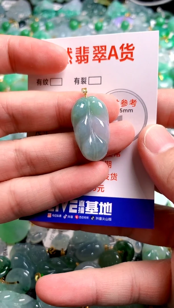 翡翠18K金镶嵌颈饰14005654