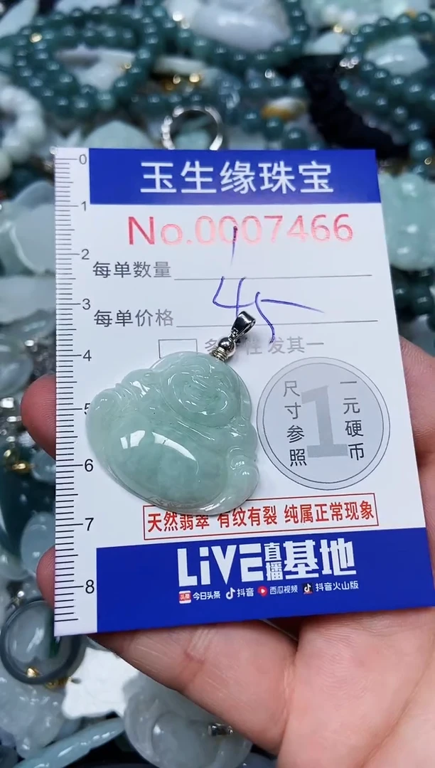 【闪购商品】翡翠颈饰未镶嵌闪购00007466