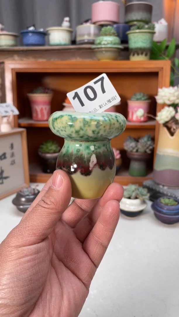 瓷片107小芳直播编号