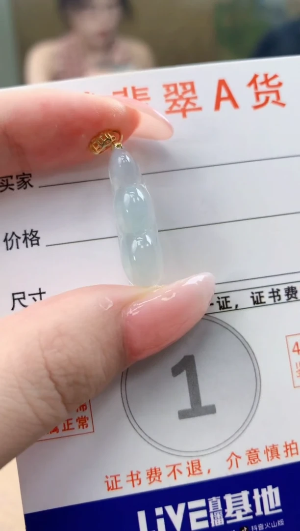 颈饰未镶嵌翡翠天然A货翡翠挂件