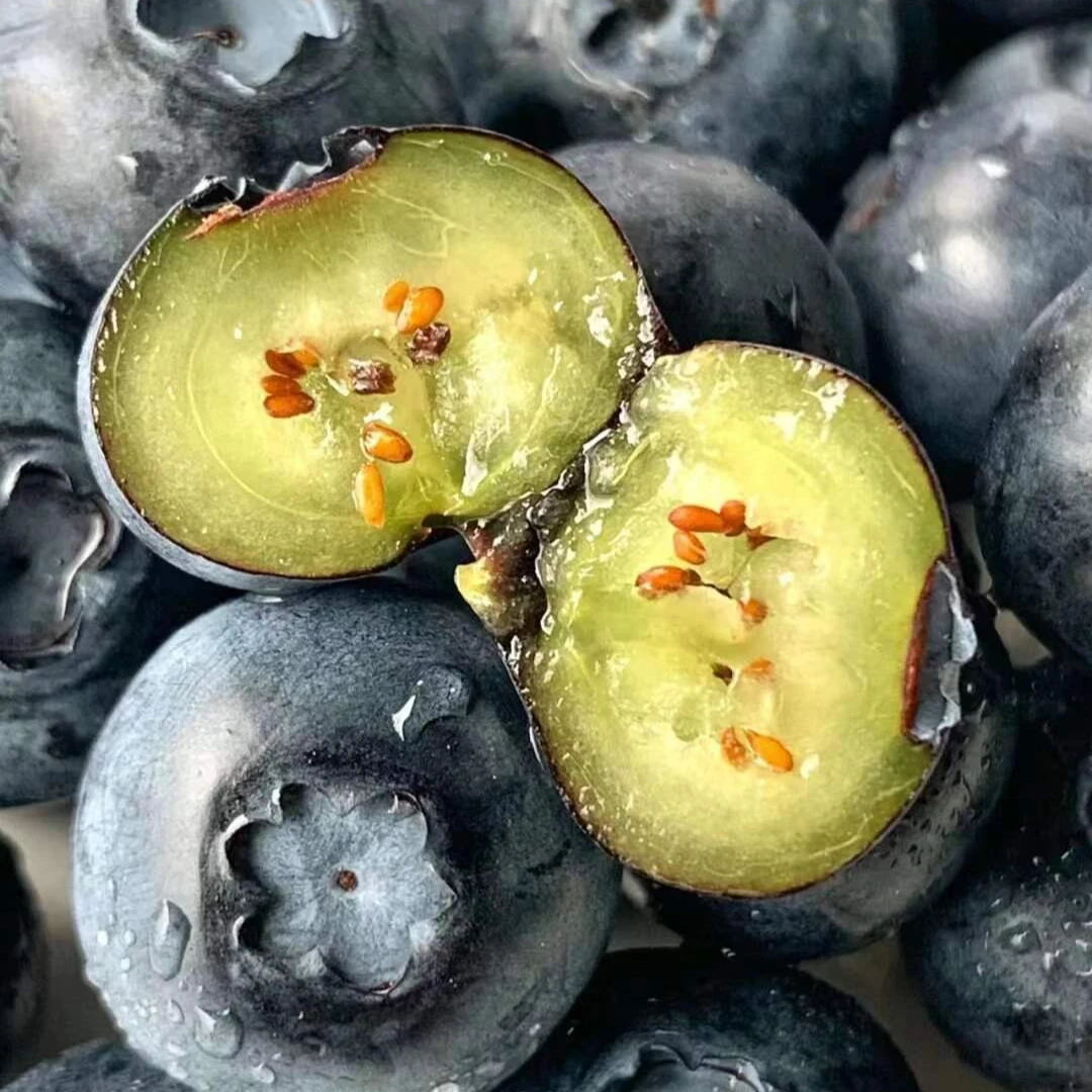 【顺丰次日达】蓝莓3盒装 | 秘鲁