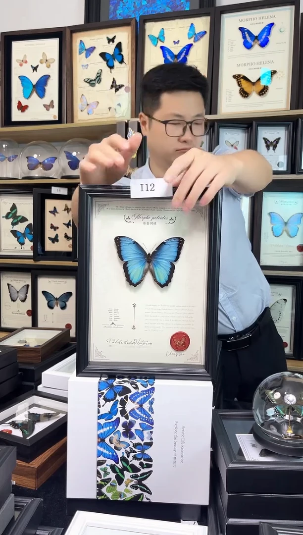 蓓蕾闪蝶A4艺术款 i12一物一拍