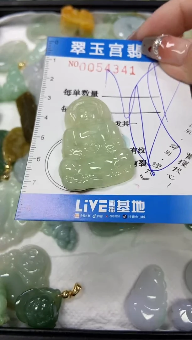 【闪购商品】翡翠颈饰未镶嵌闪购商品0054341