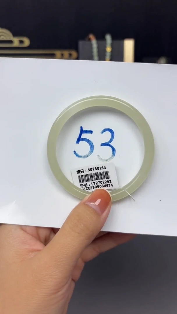 未镶嵌手镯和田玉0164