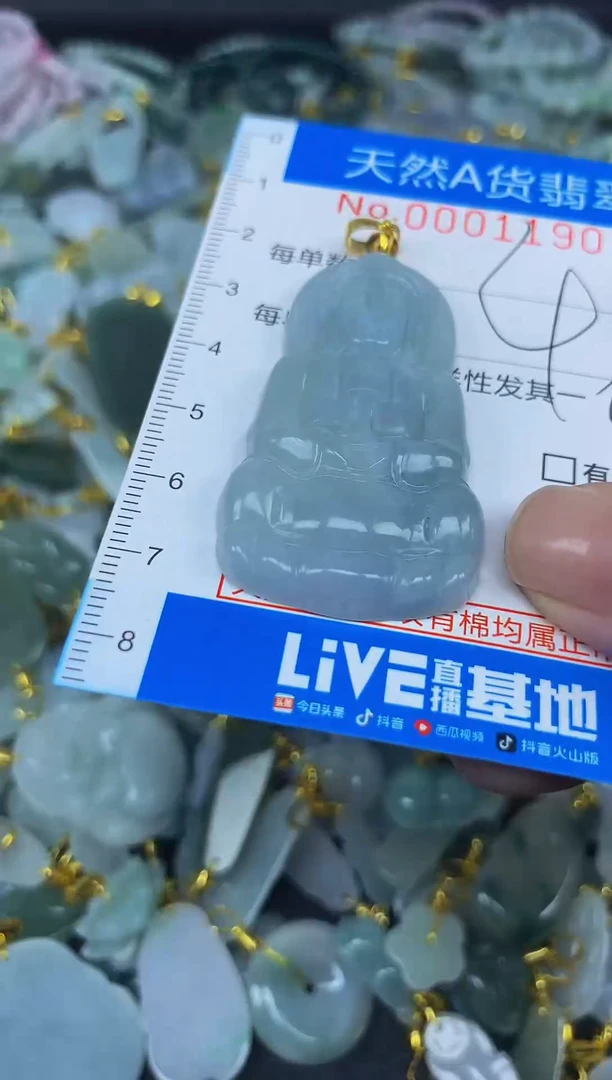 颈饰未镶嵌翡翠净货挂件-1190