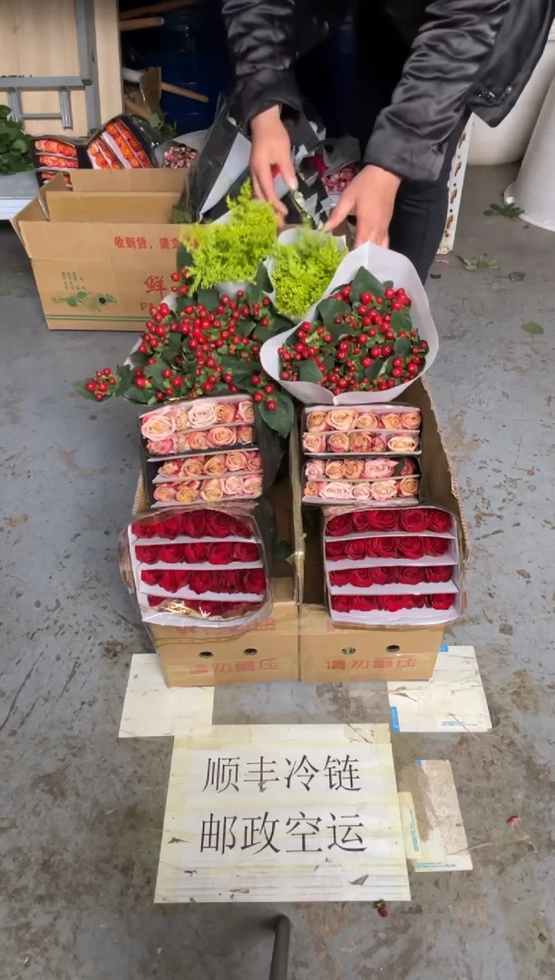 高原红20枝+卡布20枝+红豆+黄莺