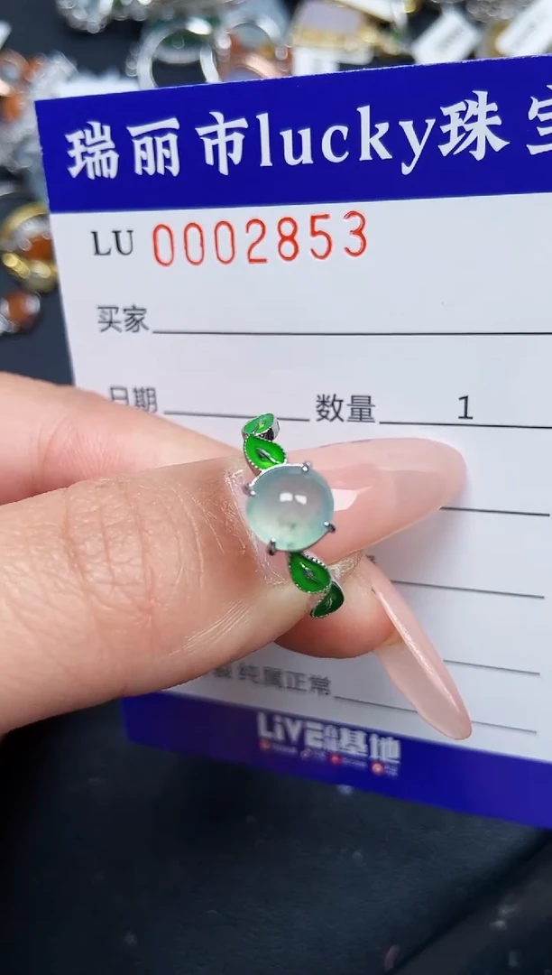 【闪购商品】翡翠颈饰银S925镶嵌2853