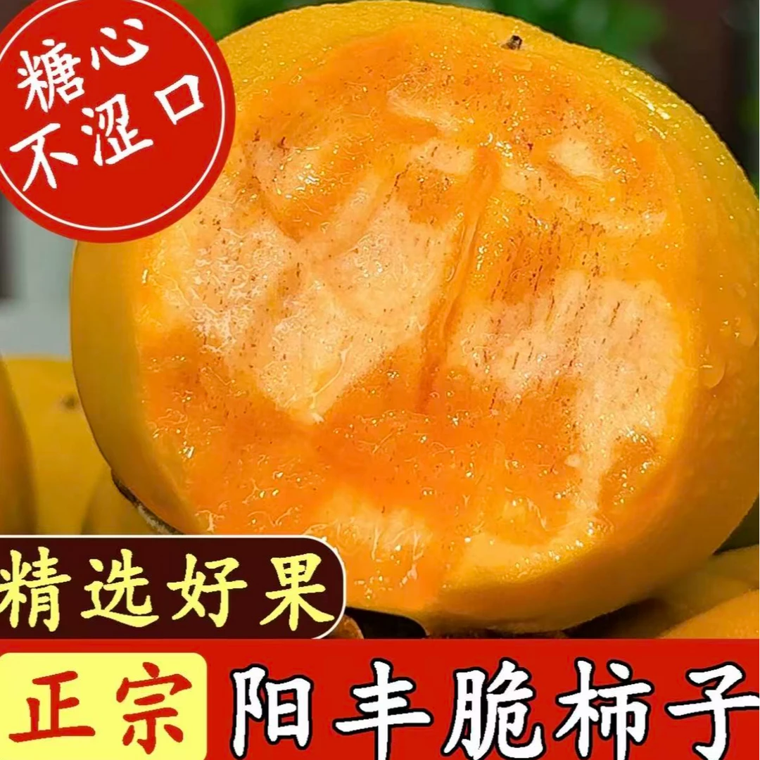 阳丰冰糖心巧克力脆柿香甜多汁果园直发新鲜采摘应季水果