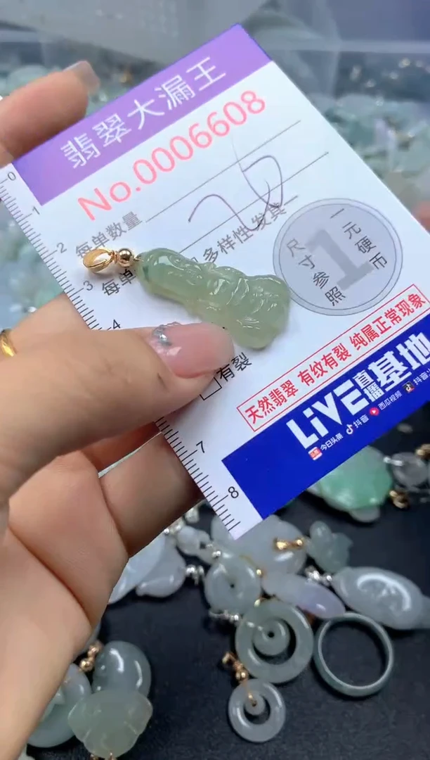 颈饰未镶嵌翡翠6608