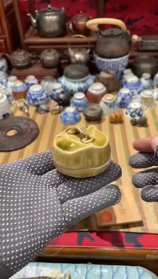 发发发发发发发发发