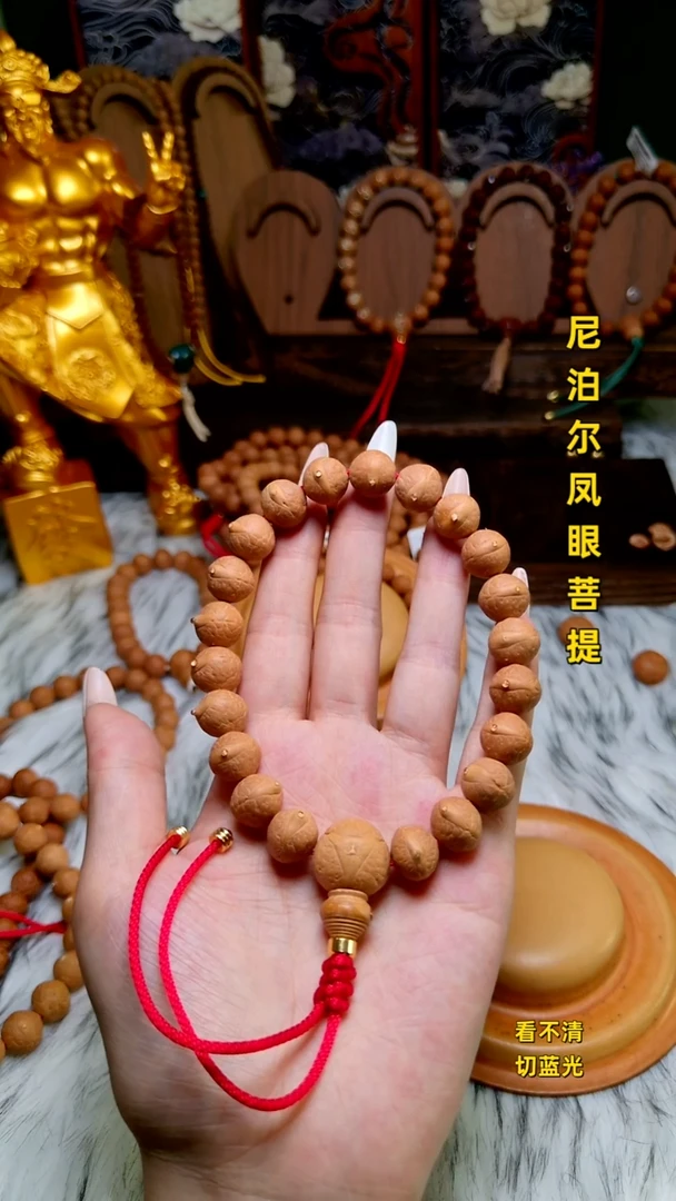 手串凤眼菩提12单仓子